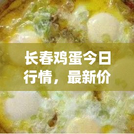 長春雞蛋今日行情，最新價格與市場走勢分析