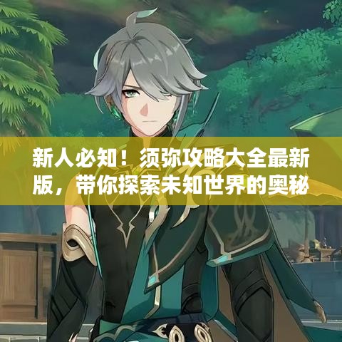 新人必知！須彌攻略大全最新版，帶你探索未知世界的奧秘