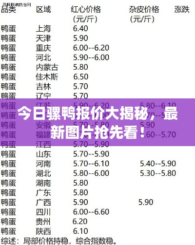 今日騾鴨報價大揭秘，最新圖片搶先看！