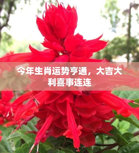 國(guó)色天香 第2頁(yè)