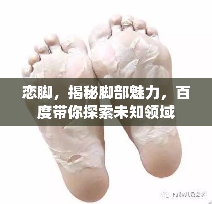 戀腳，揭秘腳部魅力，百度帶你探索未知領(lǐng)域