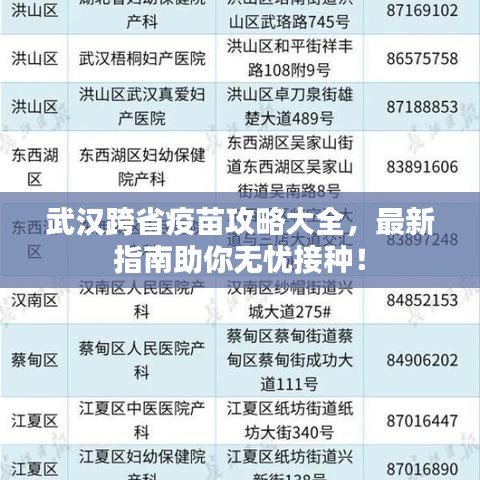 武漢跨省疫苗攻略大全，最新指南助你無憂接種！