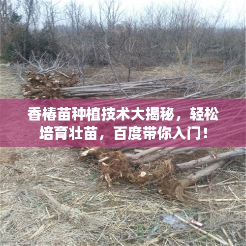 衣無二彩 第2頁
