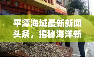 平潭海域最新新聞頭條，揭秘海洋新動態(tài)