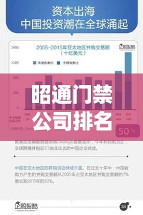 昭通門禁公司排名揭秘，行業(yè)深度分析與趨勢解讀