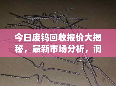 今日廢鎢回收報(bào)價(jià)大揭秘，最新市場分析，洞悉市場動(dòng)態(tài)！