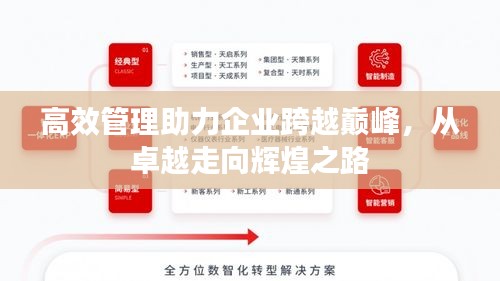 高效管理助力企業(yè)跨越巔峰，從卓越走向輝煌之路
