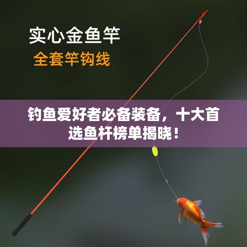 釣魚愛(ài)好者必備裝備，十大首選魚桿榜單揭曉！