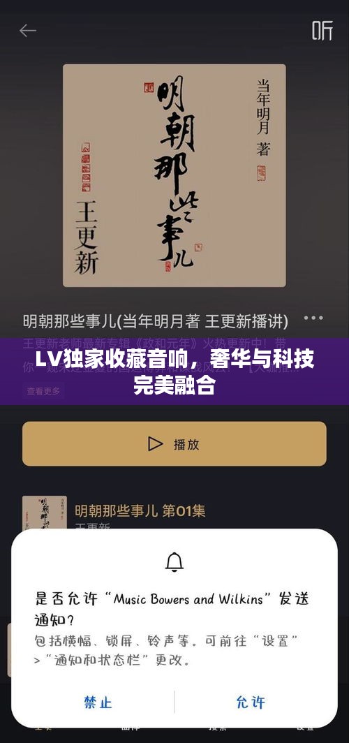 LV獨家收藏音響，奢華與科技完美融合