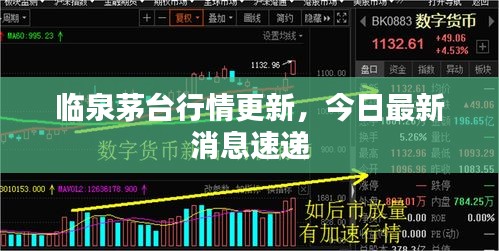臨泉茅臺行情更新，今日最新消息速遞