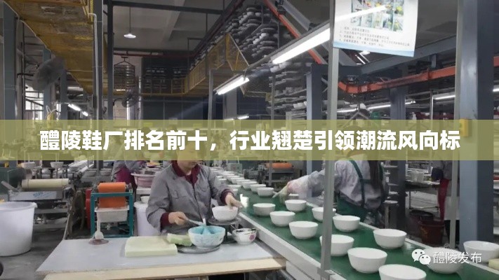 醴陵鞋廠排名前十，行業(yè)翹楚引領(lǐng)潮流風(fēng)向標(biāo)