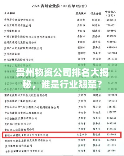 貴州物資公司排名大揭秘，誰是行業(yè)翹楚？