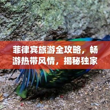富貴不淫 第2頁(yè)