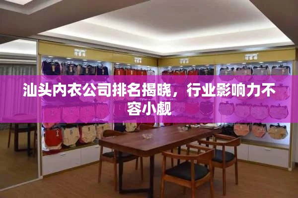 汕頭內(nèi)衣公司排名揭曉，行業(yè)影響力不容小覷