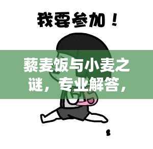 藜麥飯與小麥之謎，專業(yè)解答，百度知識一網(wǎng)打盡