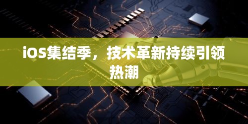 貴而賤目 第2頁(yè)