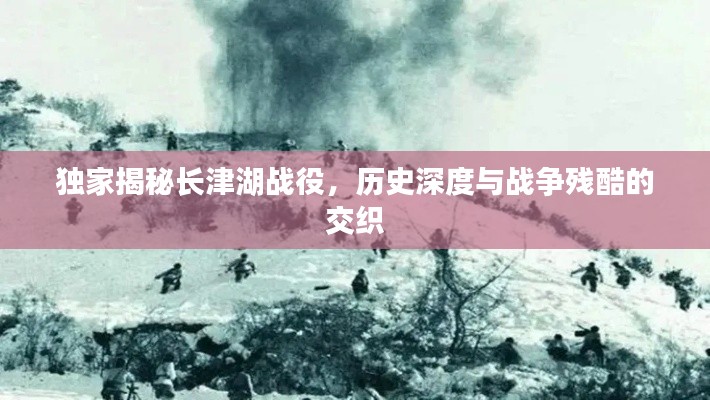獨家揭秘長津湖戰(zhàn)役，歷史深度與戰(zhàn)爭殘酷的交織