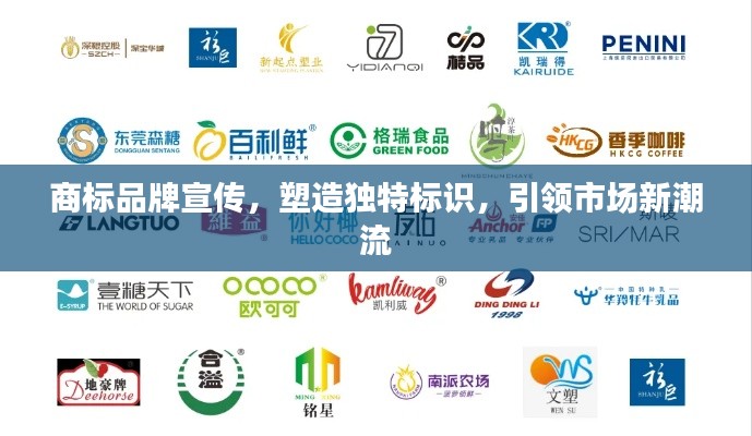 商標(biāo)品牌宣傳，塑造獨特標(biāo)識，引領(lǐng)市場新潮流