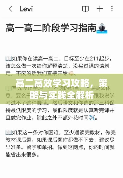高二高效學(xué)習(xí)攻略，策略與實踐全解析