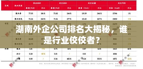 湖南外企公司排名大揭秘，誰是行業(yè)佼佼者？