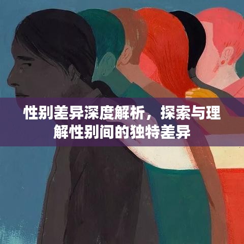 性別差異深度解析，探索與理解性別間的獨特差異