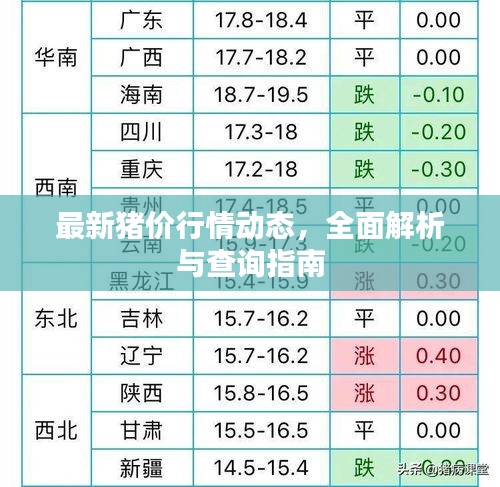 最新豬價行情動態(tài)，全面解析與查詢指南