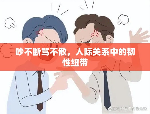 吵不斷罵不散，人際關(guān)系中的韌性紐帶
