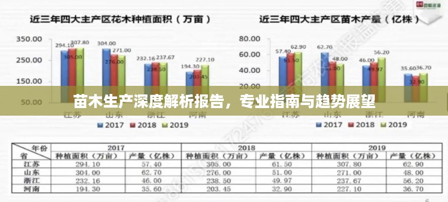 苗木生產(chǎn)深度解析報(bào)告，專業(yè)指南與趨勢(shì)展望