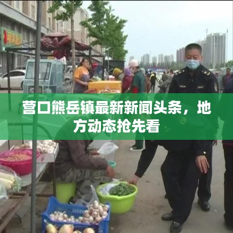 營口熊岳鎮(zhèn)最新新聞?lì)^條，地方動(dòng)態(tài)搶先看