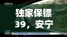 獨(dú)家保鏢39，安寧守護(hù)者的堅(jiān)實(shí)屏障