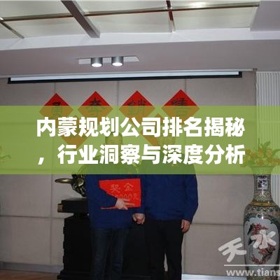 內(nèi)蒙規(guī)劃公司排名揭秘，行業(yè)洞察與深度分析
