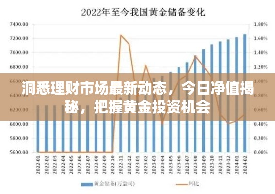 洞悉理財(cái)市場(chǎng)最新動(dòng)態(tài)，今日凈值揭秘，把握黃金投資機(jī)會(huì)