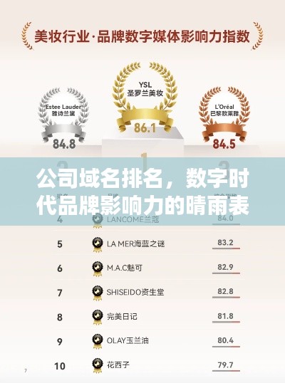 公司域名排名，數(shù)字時(shí)代品牌影響力的晴雨表
