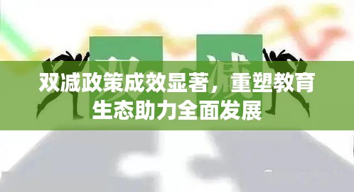 雙減政策成效顯著，重塑教育生態(tài)助力全面發(fā)展