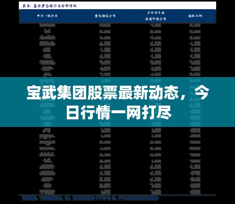 寶武集團(tuán)股票最新動態(tài)，今日行情一網(wǎng)打盡
