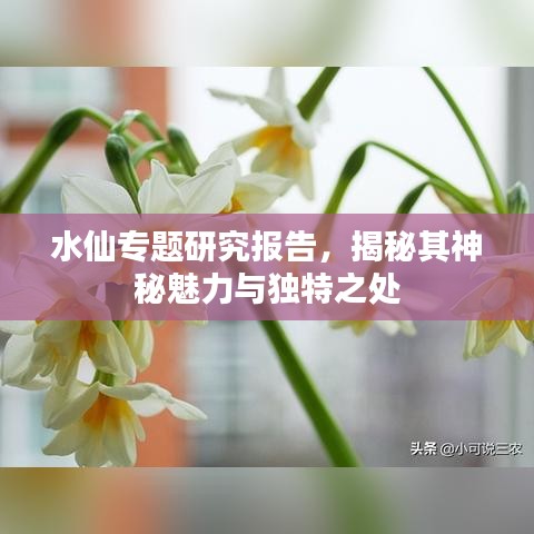 廢寢忘食 第2頁
