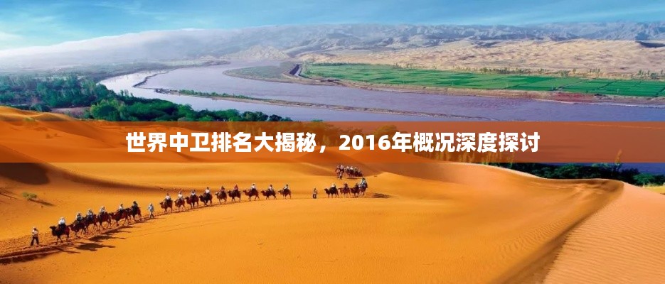 世界中衛(wèi)排名大揭秘，2016年概況深度探討