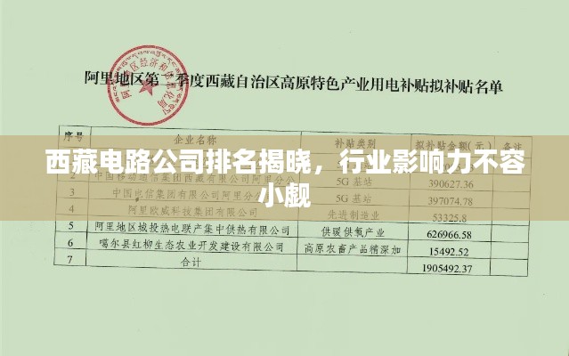 西藏電路公司排名揭曉，行業(yè)影響力不容小覷