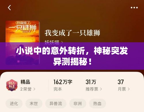 小說(shuō)中的意外轉(zhuǎn)折，神秘突發(fā)異測(cè)揭秘！
