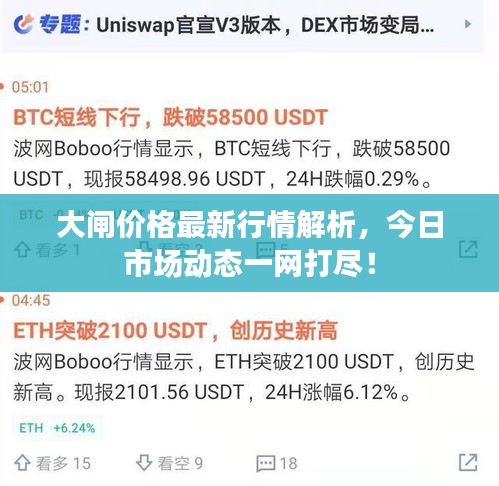 大閘價格最新行情解析，今日市場動態(tài)一網(wǎng)打盡！