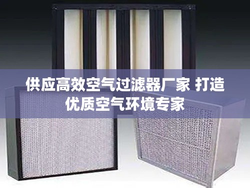 供應(yīng)高效空氣過濾器廠家 打造優(yōu)質(zhì)空氣環(huán)境專家