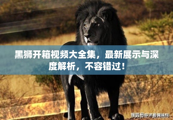 黑獅開箱視頻大全集，最新展示與深度解析，不容錯過！