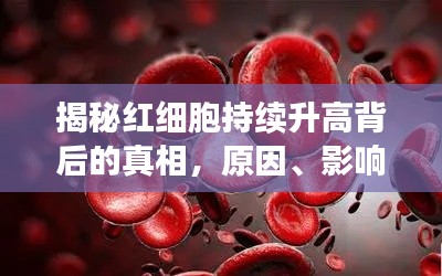 揭秘紅細胞持續(xù)升高背后的真相，原因、影響及應對策略