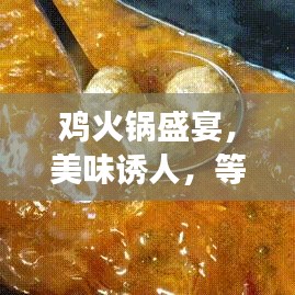 雞火鍋盛宴，美味誘人，等你來嘗！