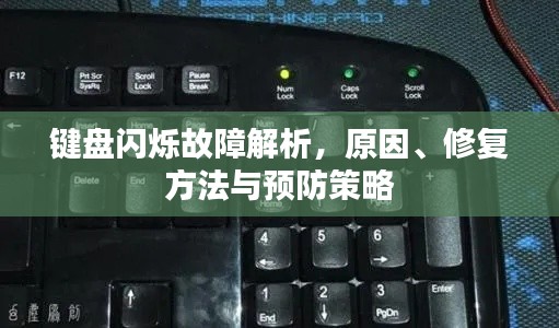 鍵盤閃爍故障解析，原因、修復(fù)方法與預(yù)防策略