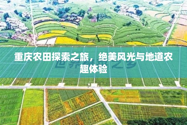 重慶農(nóng)田探索之旅，絕美風(fēng)光與地道農(nóng)趣體驗(yàn)