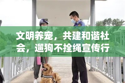 文明養(yǎng)寵，共建和諧社會，遛狗不拴繩宣傳行動啟動