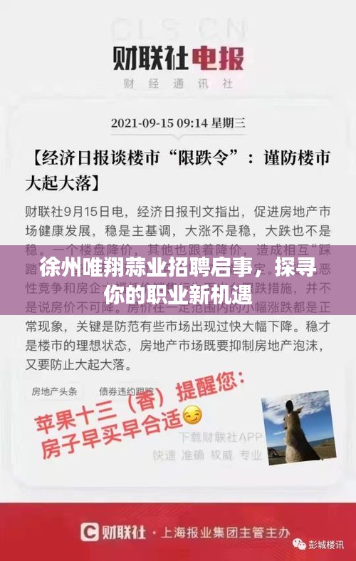 徐州唯翔蒜業(yè)招聘啟事，探尋你的職業(yè)新機遇