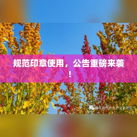 矯枉過(guò)正 第2頁(yè)