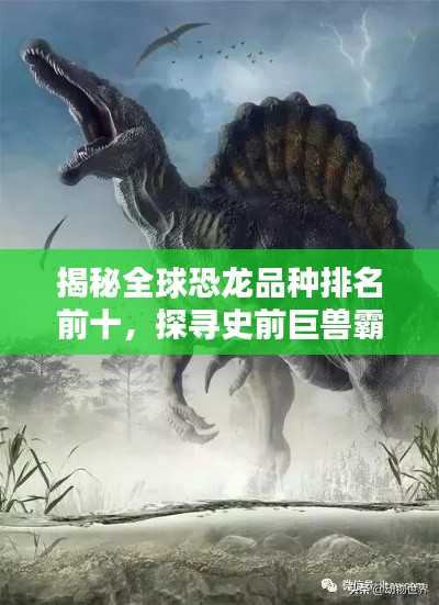 有氣無(wú)力 第2頁(yè)